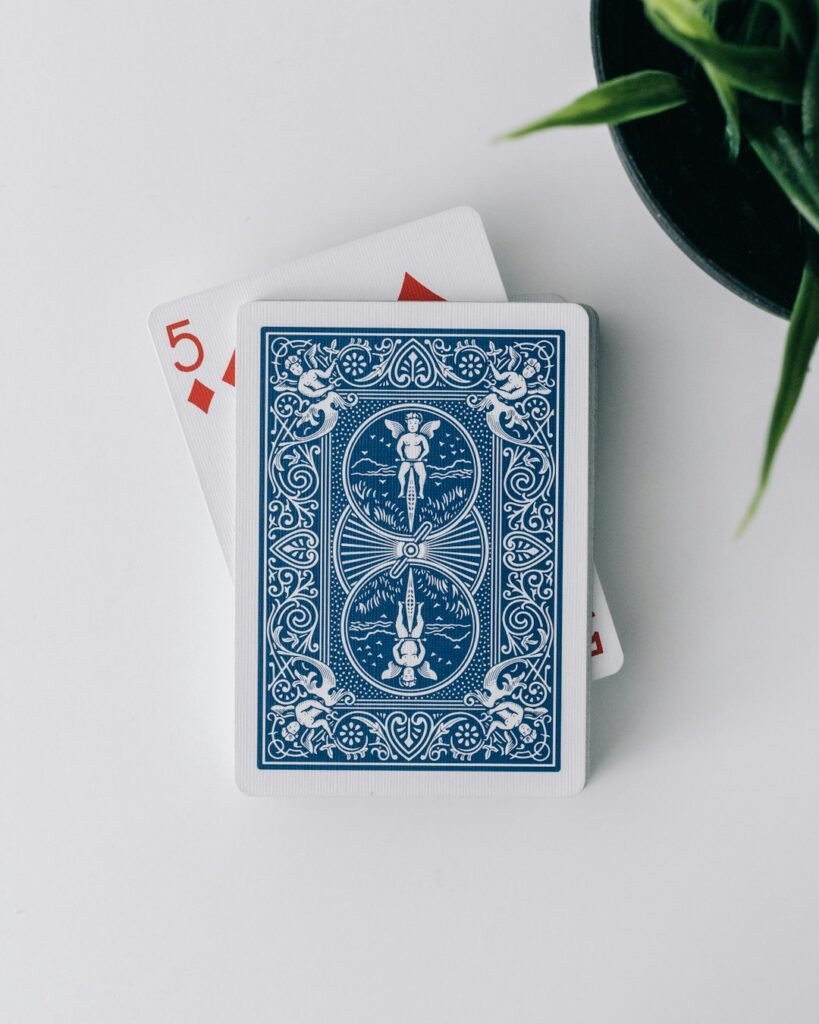 I’ve learnt a lot of photography from YouTube, and Peter McKinnon stands out to me as one of my biggest inspirations. I got into cardistry after watching Peter’s friend, Chris Ramsay on YouTube. His magic + card tricks sparked my interest and I got a generic deck of Bicycle cards. And in no time, I was taking pictures with this deck in frame.